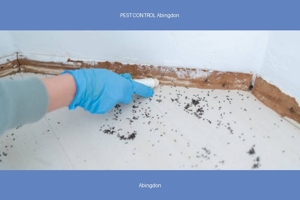 PEST CONTROL Abingdon